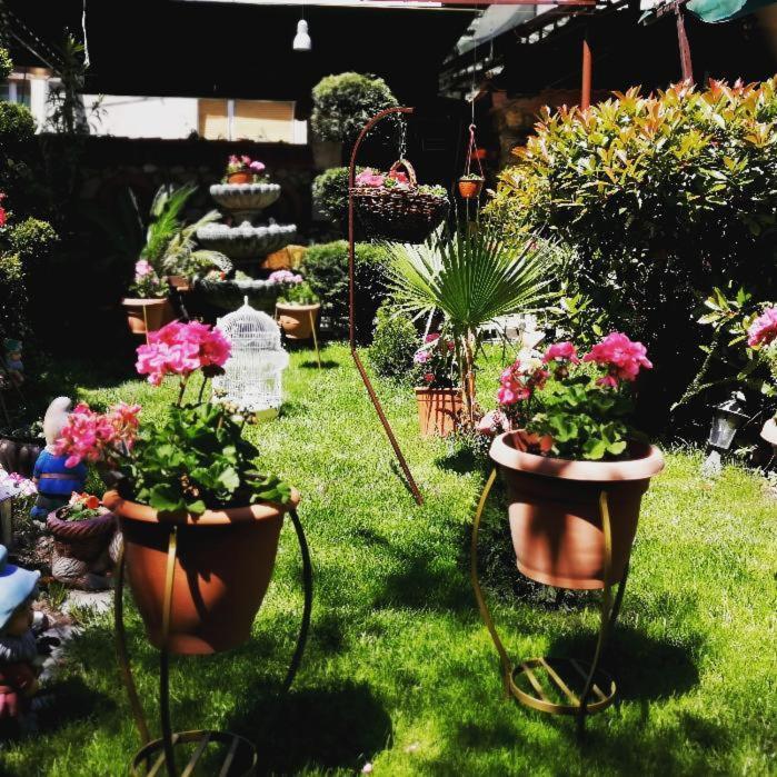 Gala-Garden Hotel Bitola Exterior foto